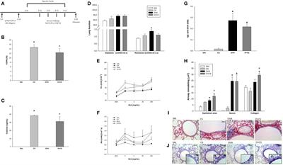 Cigarette Smoke Increases CD8α+ Dendritic Cells in an Ovalbumin-Induced Airway Inflammation